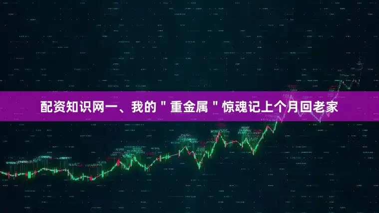 配资知识网一、我的＂重金属＂惊魂记上个月回老家